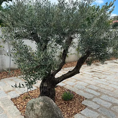 La Petite Maison Corse